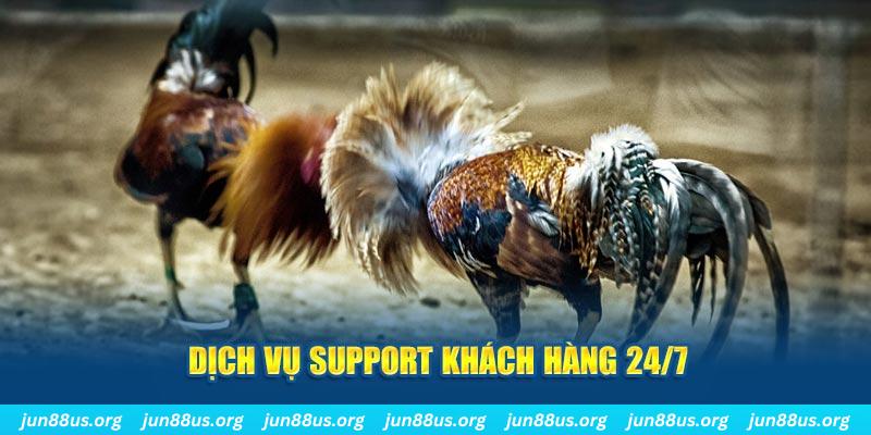 good luck ÁT CHỦ BÀI GIÀNH LẤY ZHUANG NIUNIU ( XEM 4 LÁ )