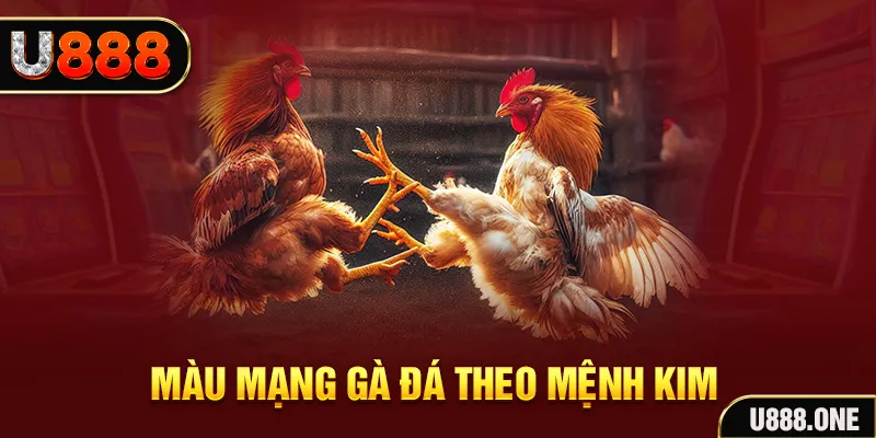 good luck Cỡ bảy