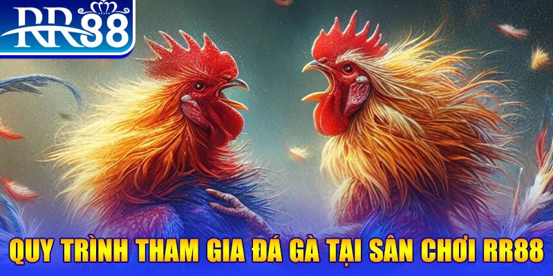 đá gà cam 67