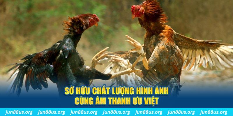 good luck PP Điện Tử