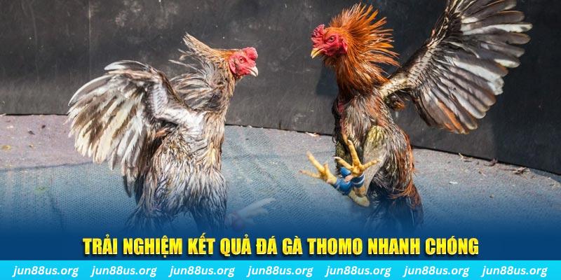 tai game danh bai bigkool ve may tinh
