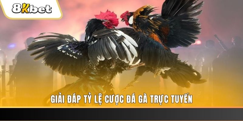good luck xổ số đài miền trung