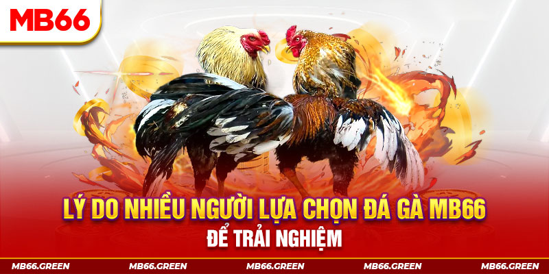 good luck xổ số miền bắc thứ bảy hàng tuần