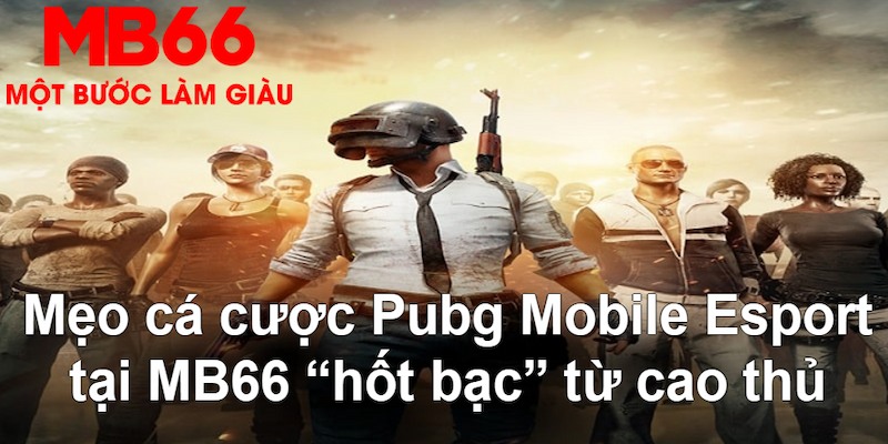 good luck VA Bắn cá