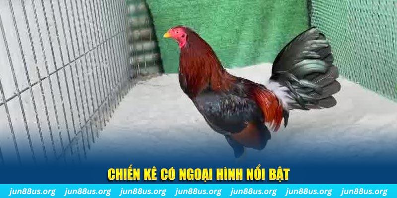 good luck game nổ hũ là gì